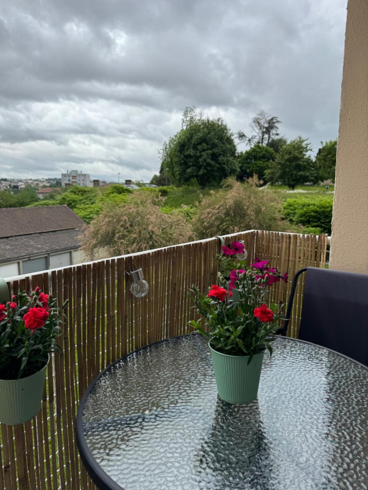 Appartement Chaleureux Et Spacieux T3 Limoges Extérieur photo