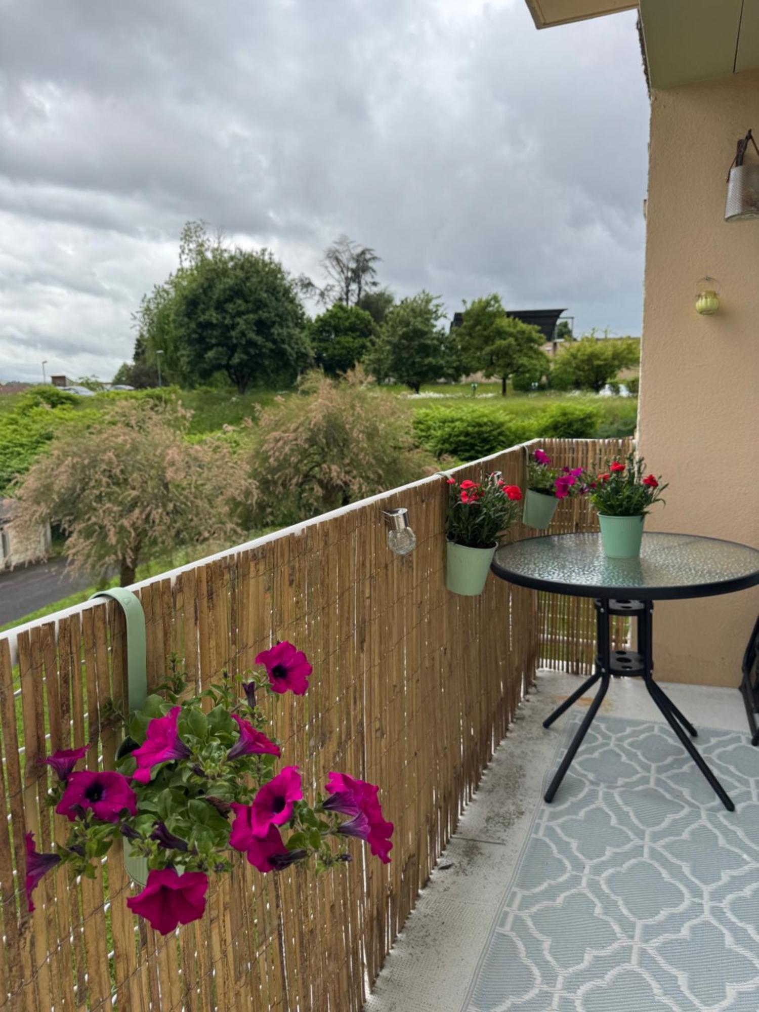 Appartement Chaleureux Et Spacieux T3 Limoges Extérieur photo